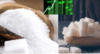 What’s Next For Sugar And Ethanol in India? Sugar Stocks Rally On GOI’s Ethanol Blending Push