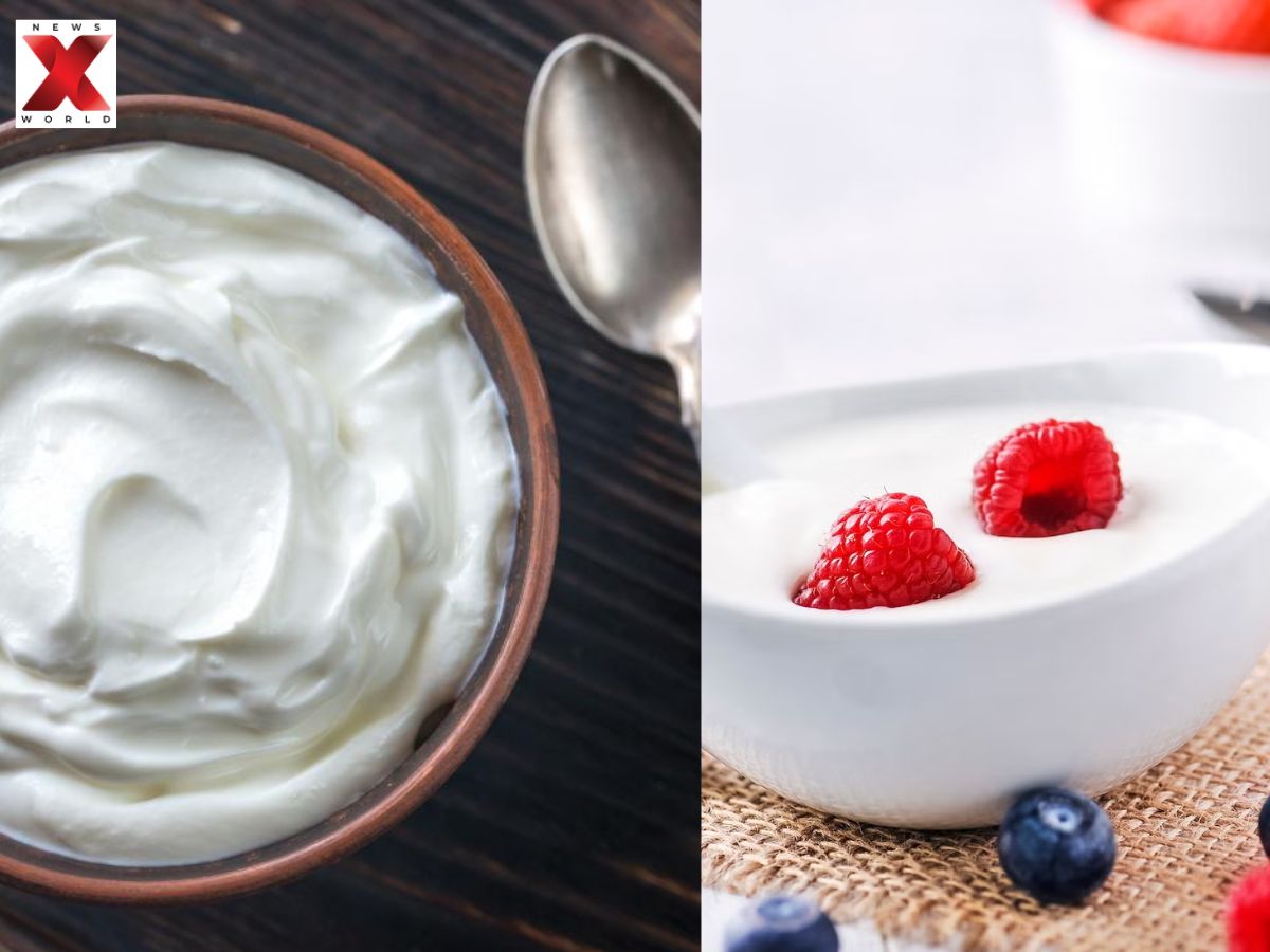 Greek Yogurt