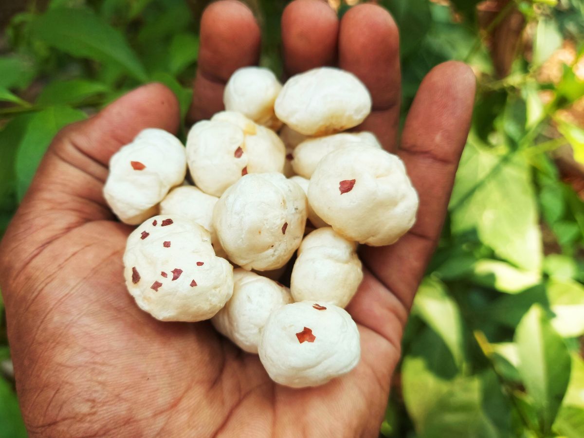 Gentle on Your Digestion