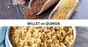 Millet vs Quinoa: Which Superfood Is Better For Effective Weight Loss And Health?