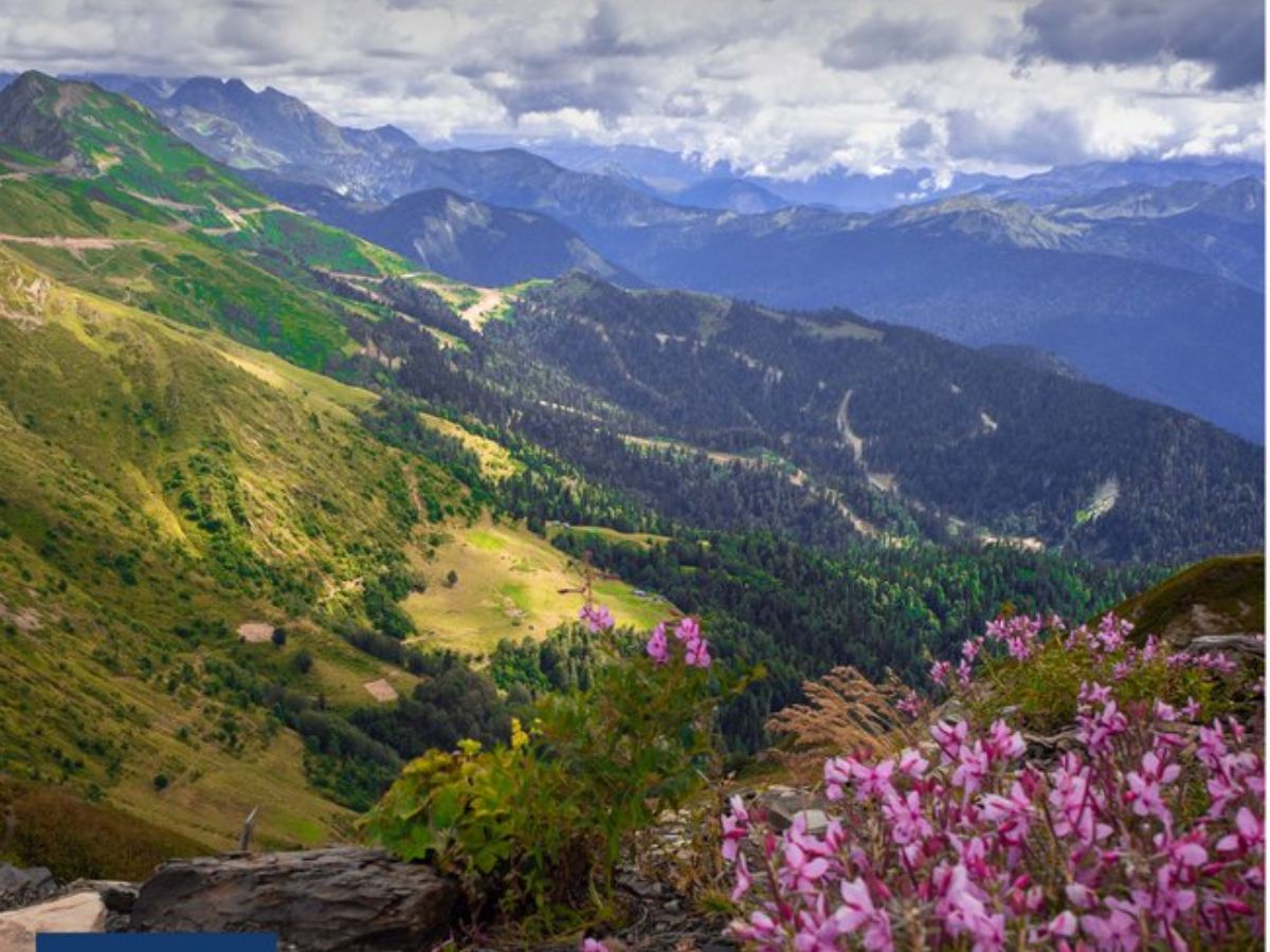Nanda Devi and Valley of Flowers National Parks (Uttarakhand)