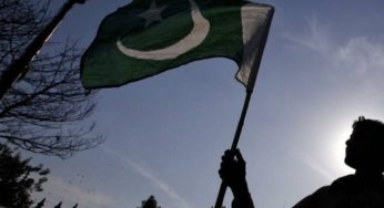 Pakistan Uncovers PKR 1.7 Billion Timber Scam in Khyber Pakhtunkhwa, 140 Officials Named