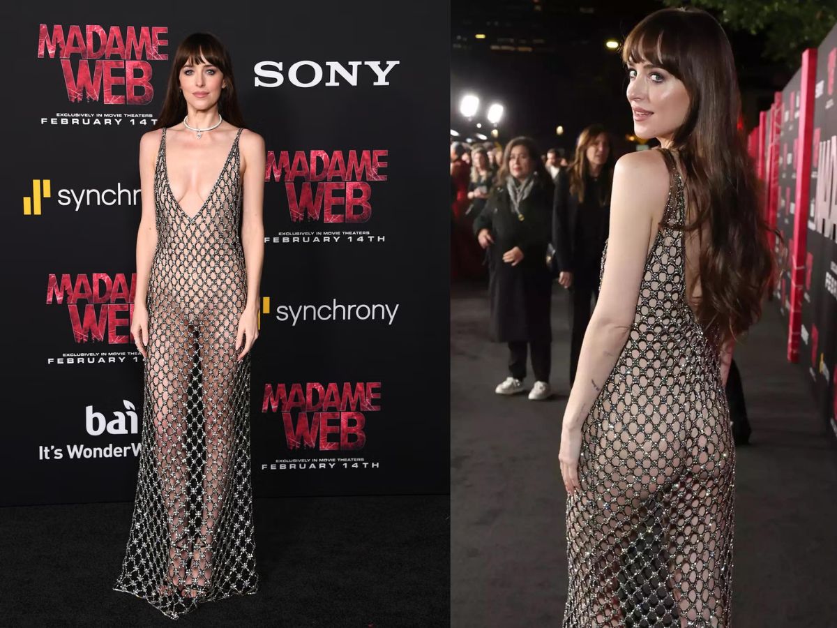 Dakota Johnson in Silver Mesh Dress