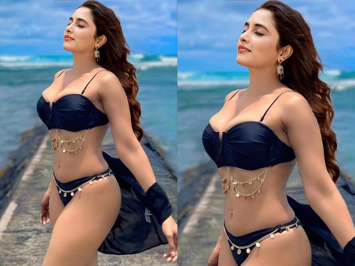 OG Pawan Kalyan Actress Priyanka Mohan Career