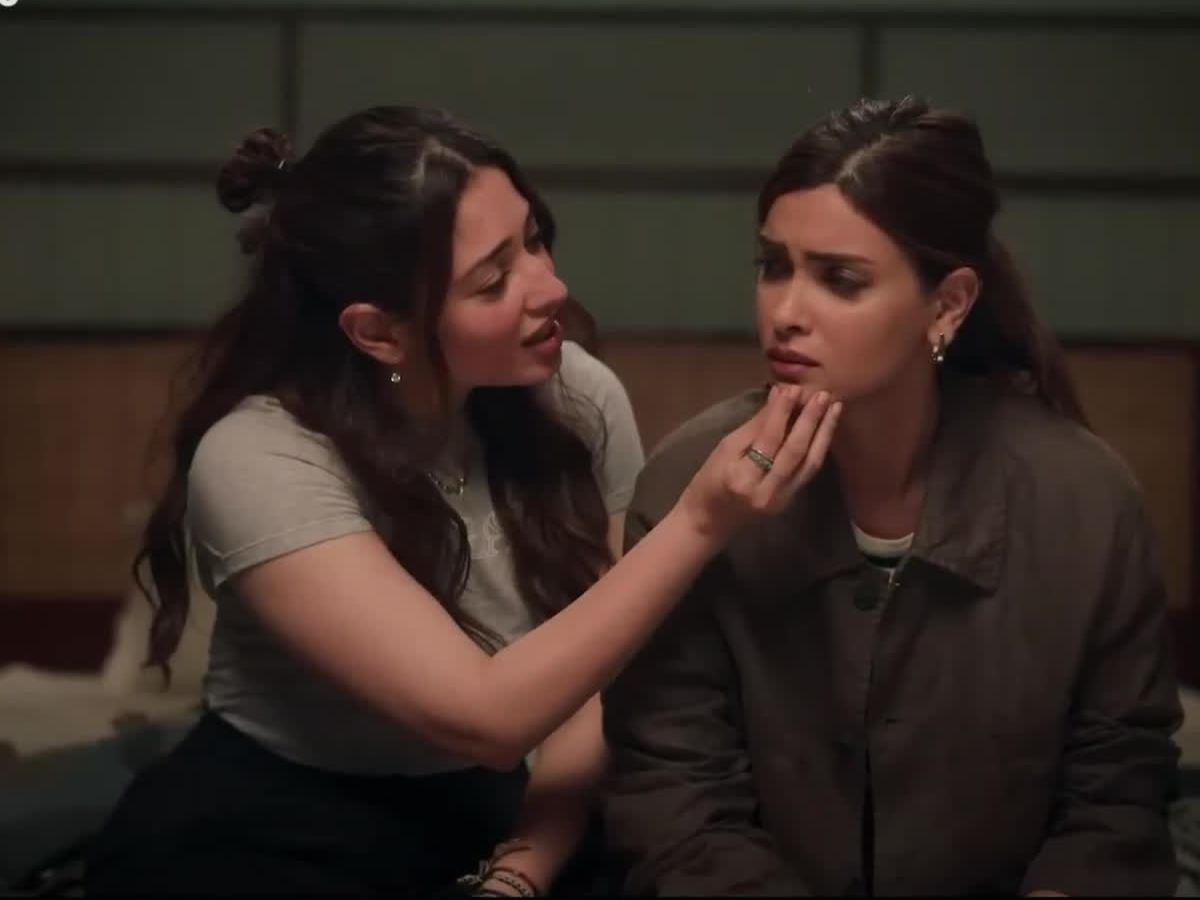 Do You Wanna Partner: Storyline