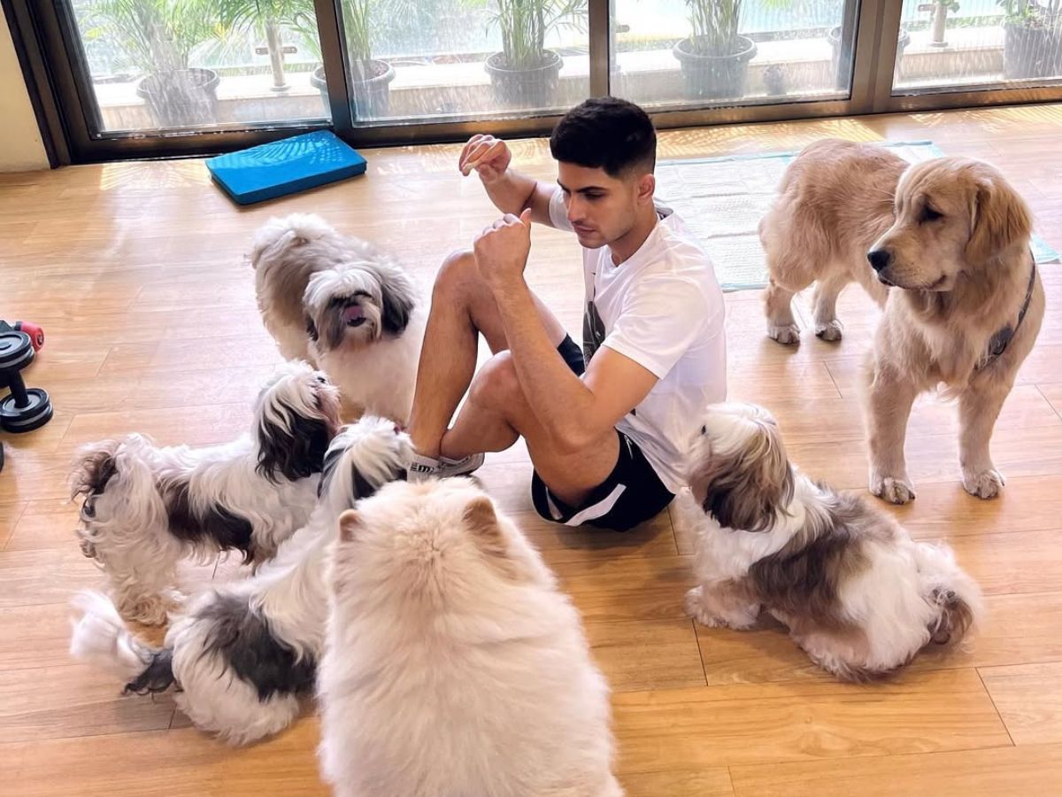 4. IPL Earnings Through the Years