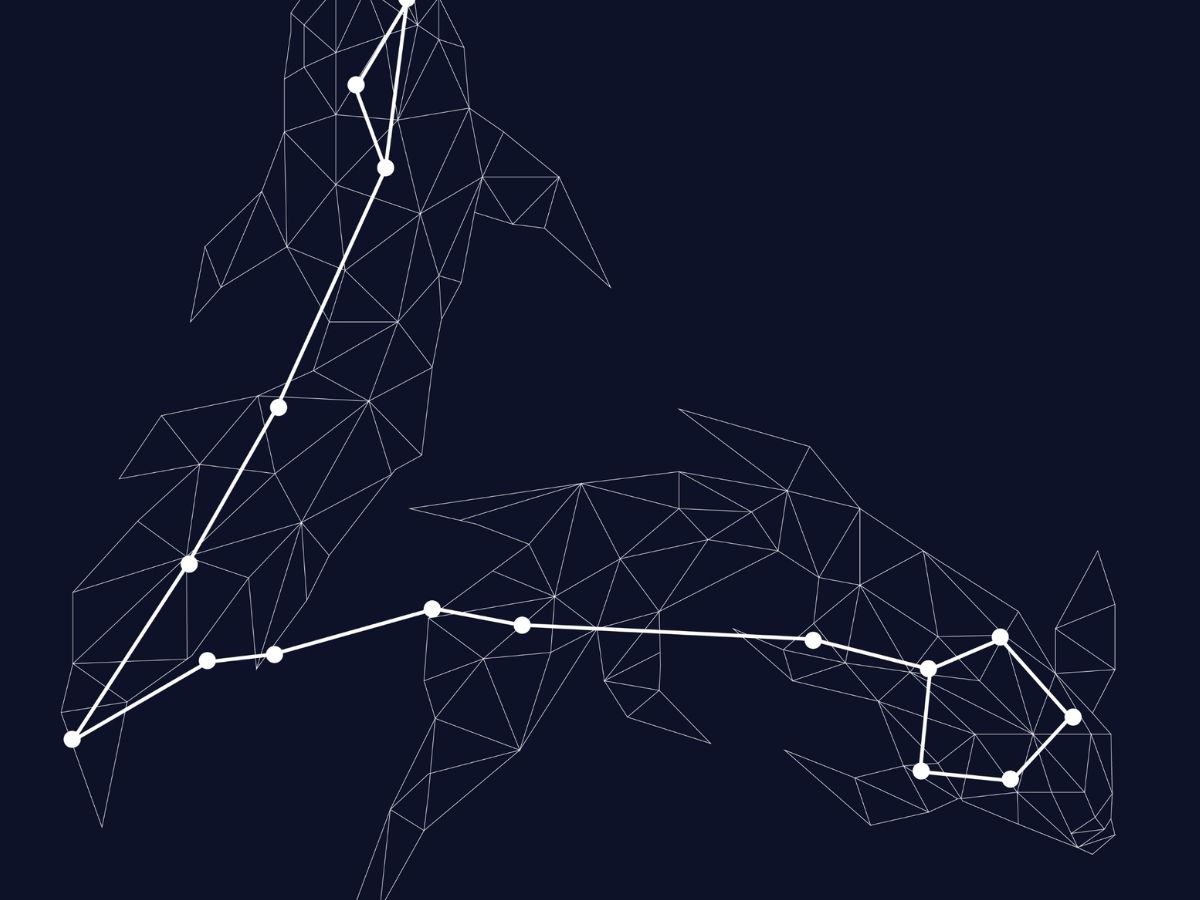 Pisces (February 19 - March 20)