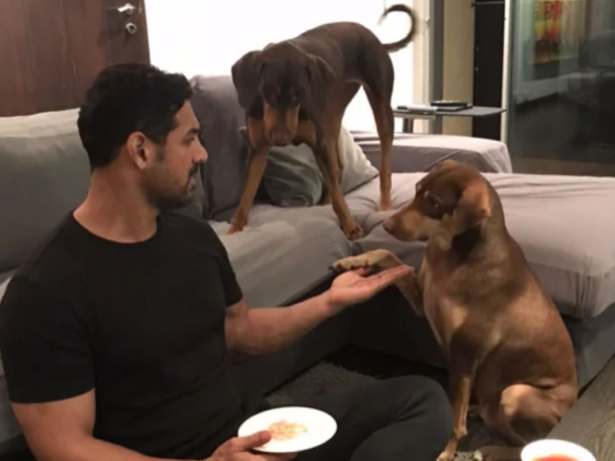 John Abraham with Bailey and Sia