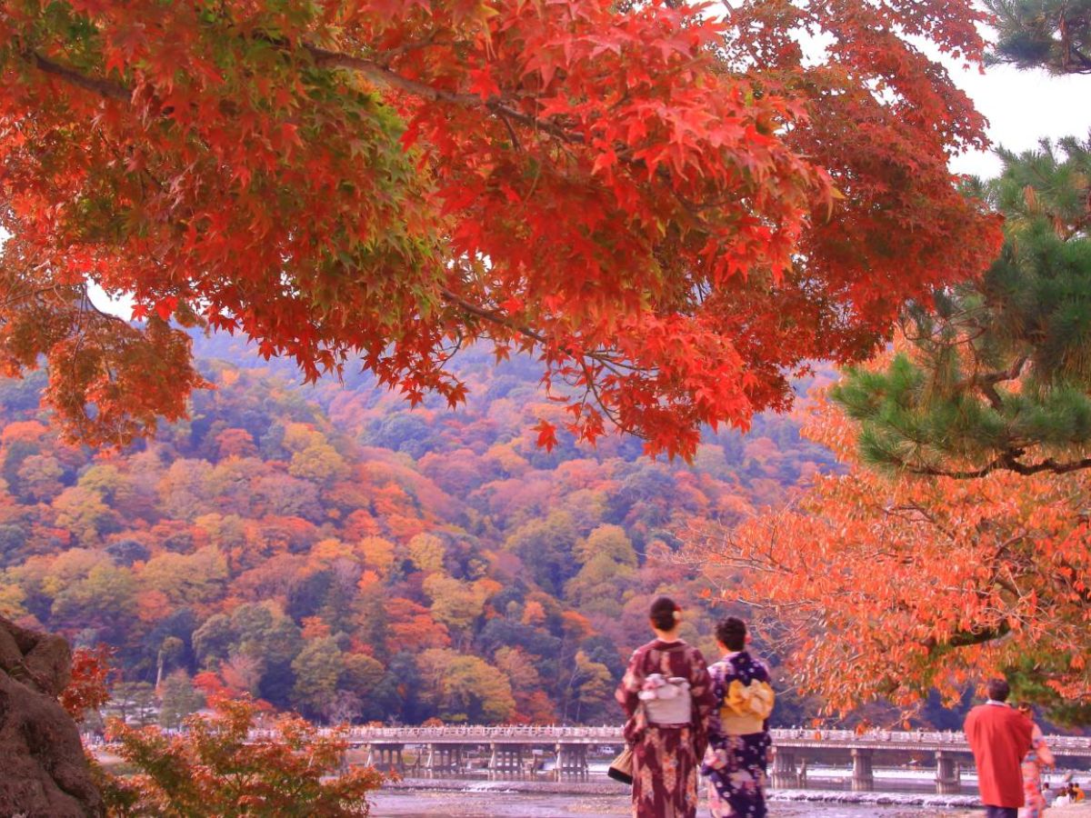 Momiji Festival, Japan (Late Oct - Nov)