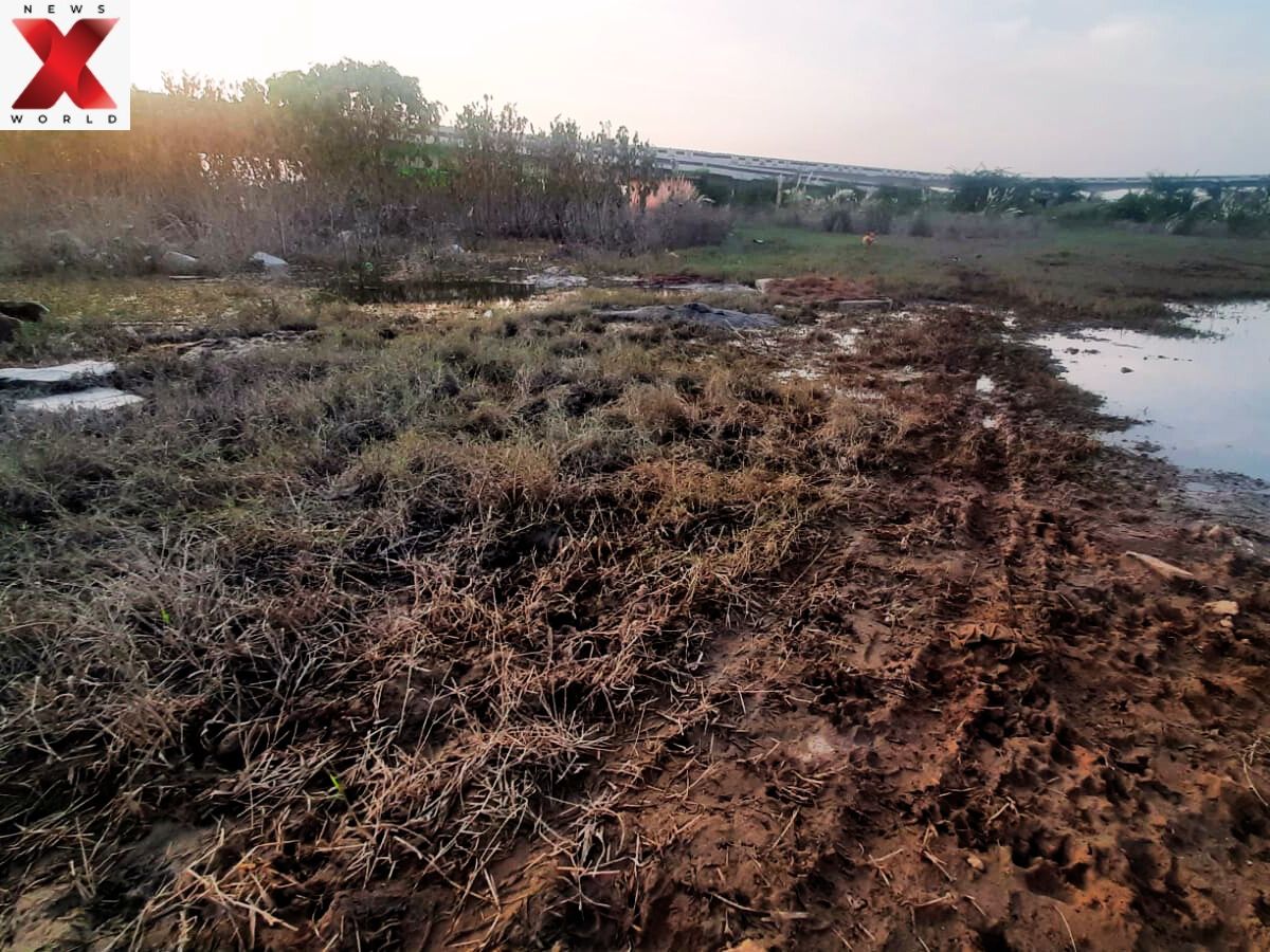 The scarred banks of the Yamuna in Mayur Vihar bear silent testimony to the flood’s fury.