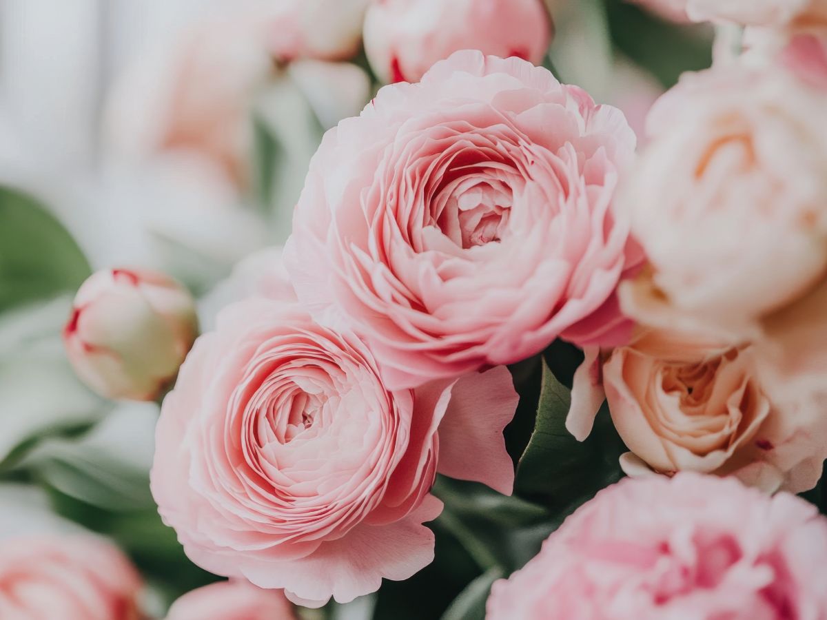 Fresh Flower Bouquet