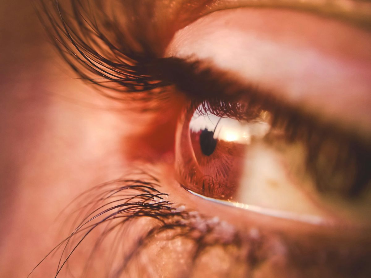 Causes and Risk Factors