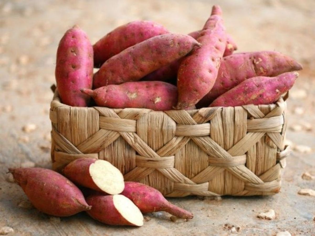 Balances Blood Sugar Levels