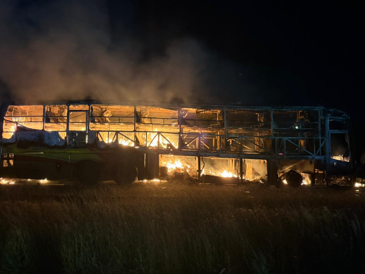 Andhra Bus Fire: 20 Killed, 42 Onboard, What Happed That Lead A Private Bus Catch Fire At Midnight?