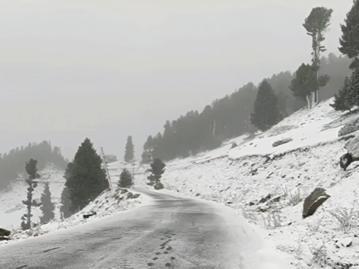 Best Time To Visit Snowfall In Nathula Pass