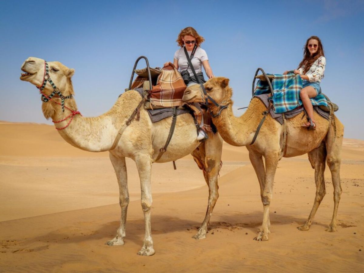 Camel Safari Across the White Desert