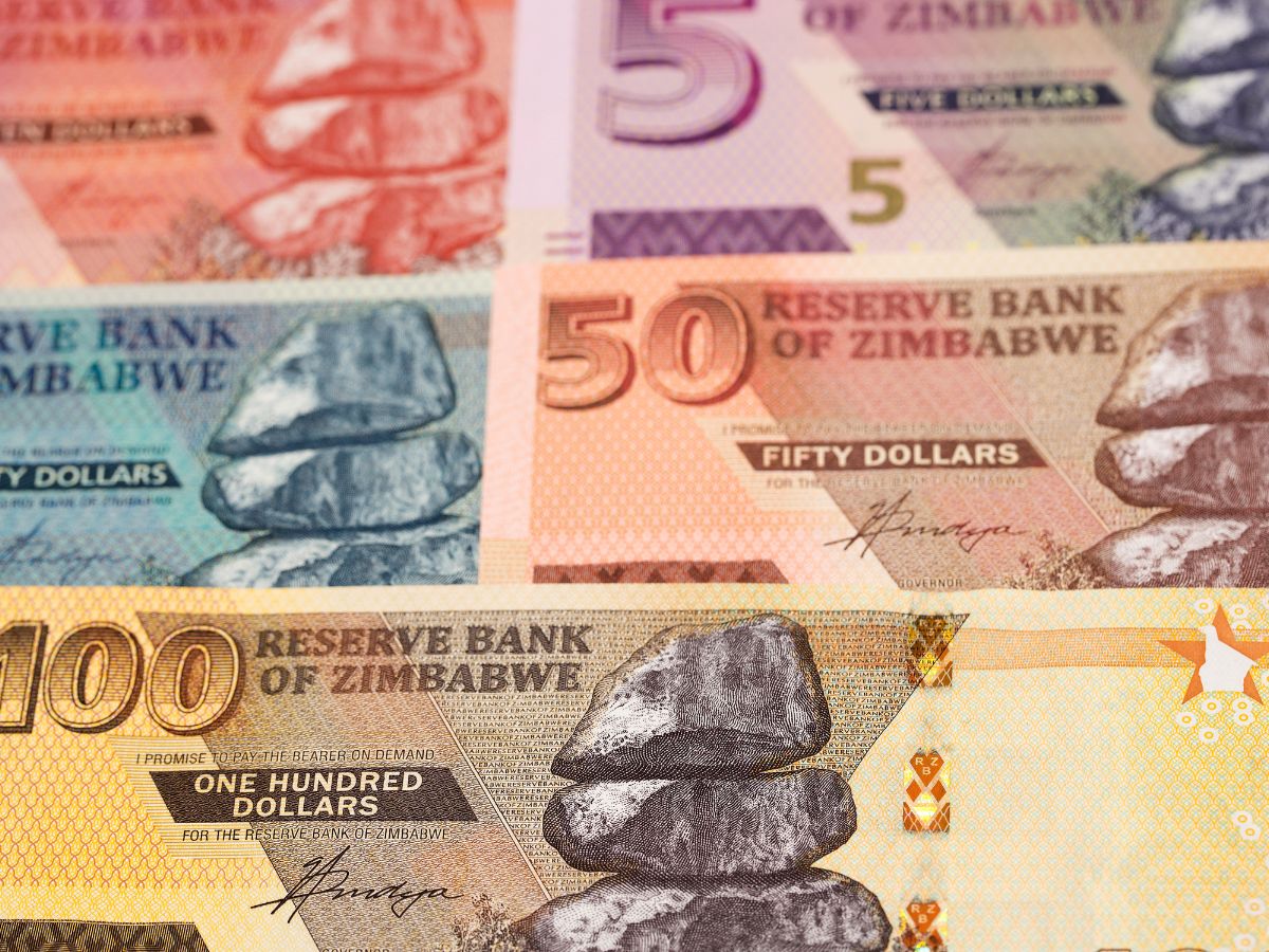 Zimbabwean Dollar (ZiG)