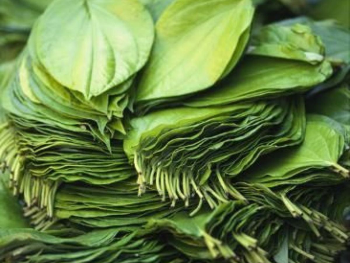 Diabetes Control Effectively