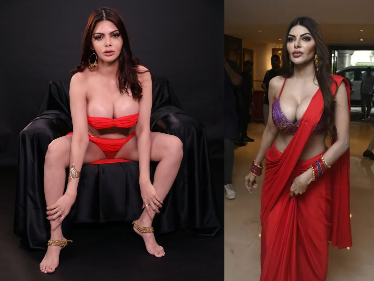 Sherlyn Chopra Boyfriend