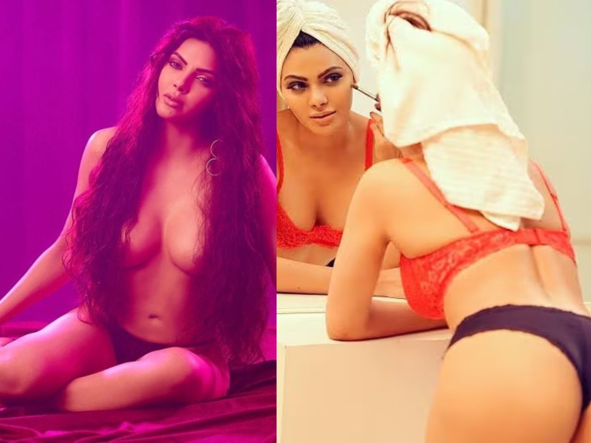 Sherlyn Chopra Career