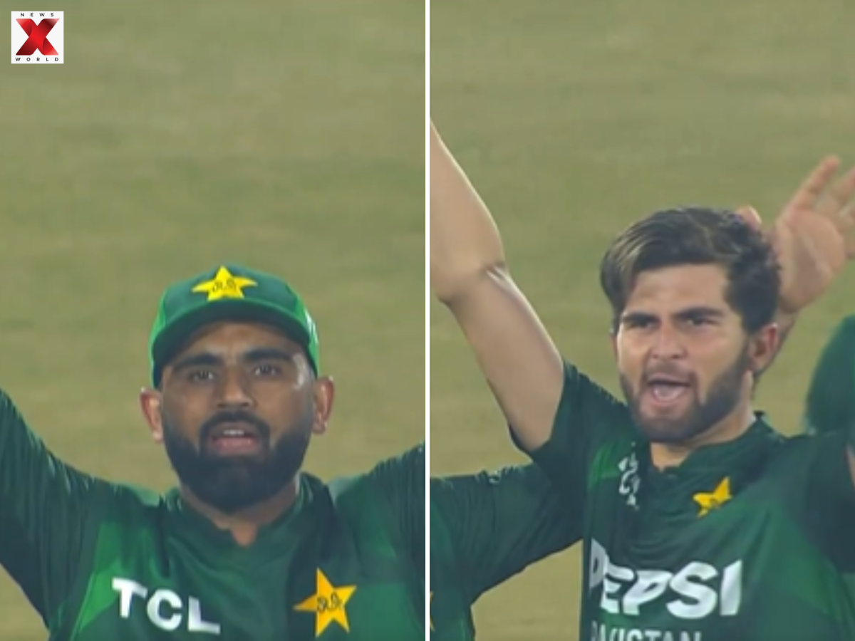 Pakistan Players Fume At Third-Umpire Call In Tri-Series Final, Shaheen Afridi's Revenge Wicket Goes Viral