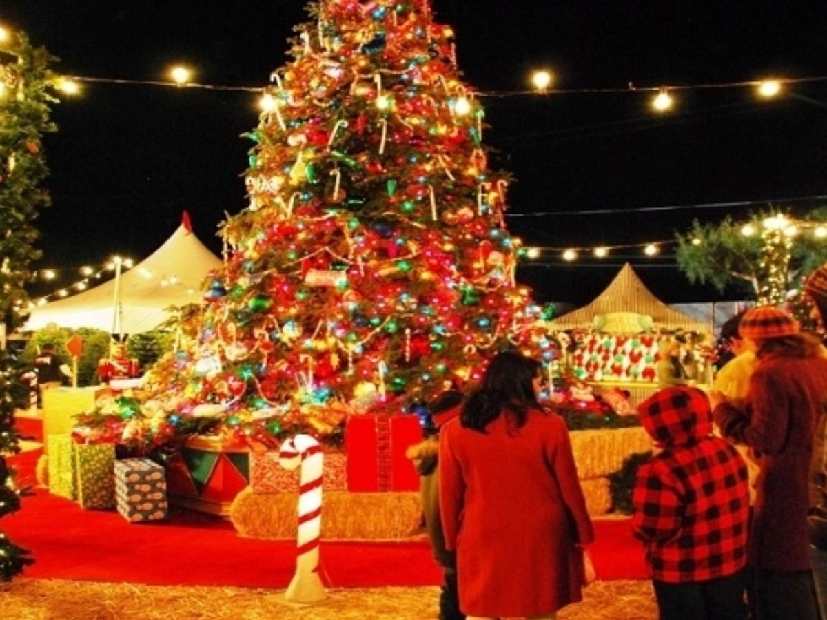 Manali, Himachal Pradesh