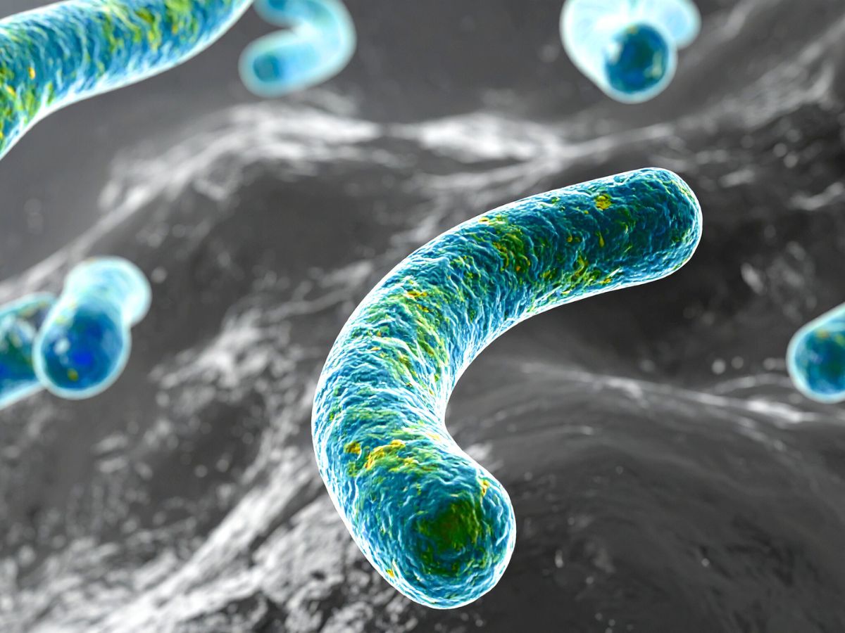 Which Superbugs Are the Biggest Culprits in India?