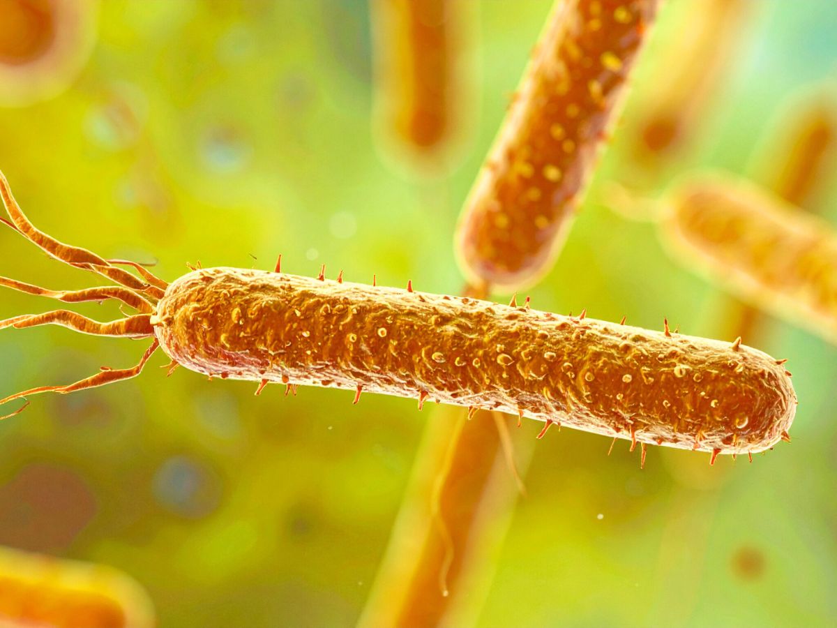 India Hits Critical Tipping Point as 83% of Patients Carry Drug-Resistant Superbugs