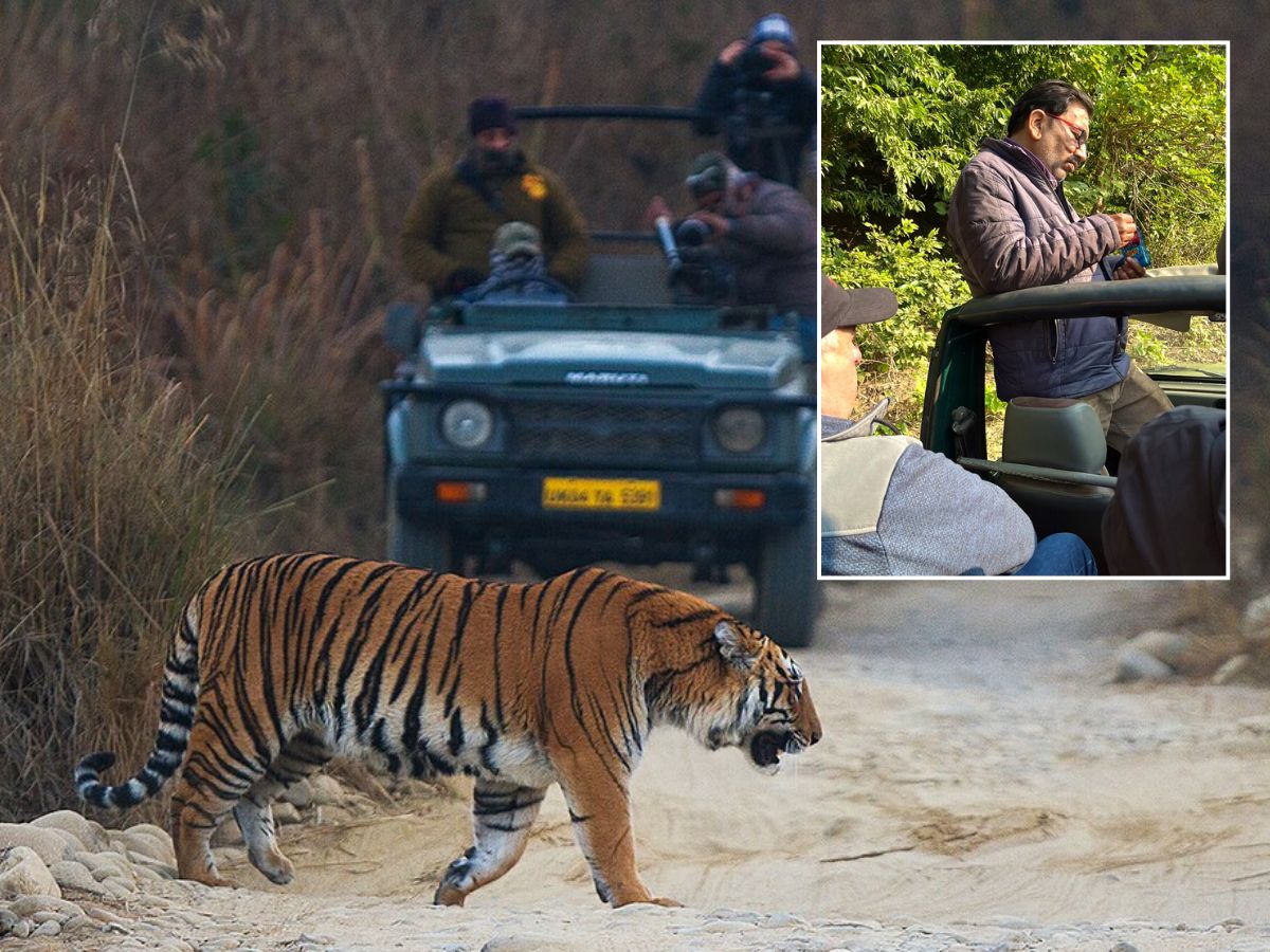 ‘Deer Meat Tastes Good’: Chandigarh Tourist Stunned As Corbett Safari Guide Offers Tobacco, Dozes Off On Duty