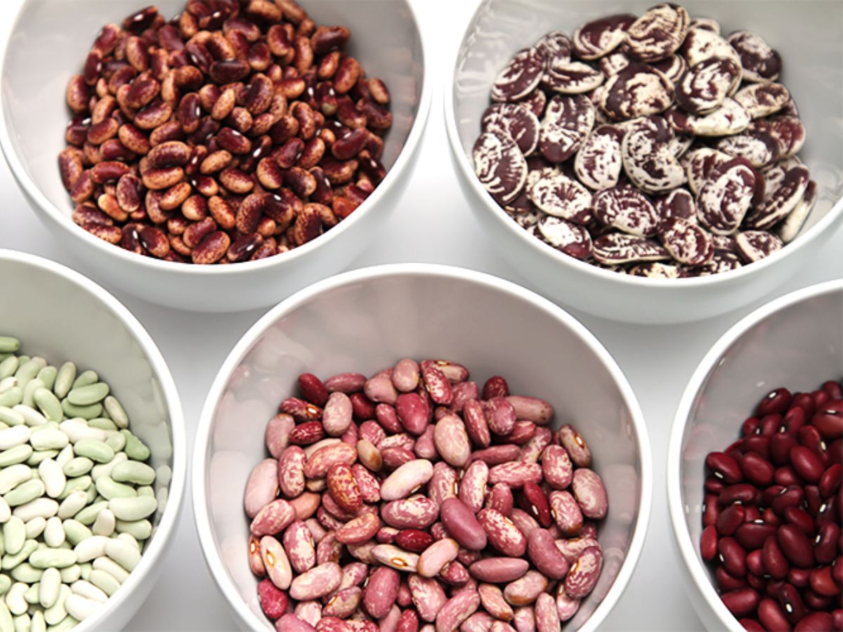 Dried Beans