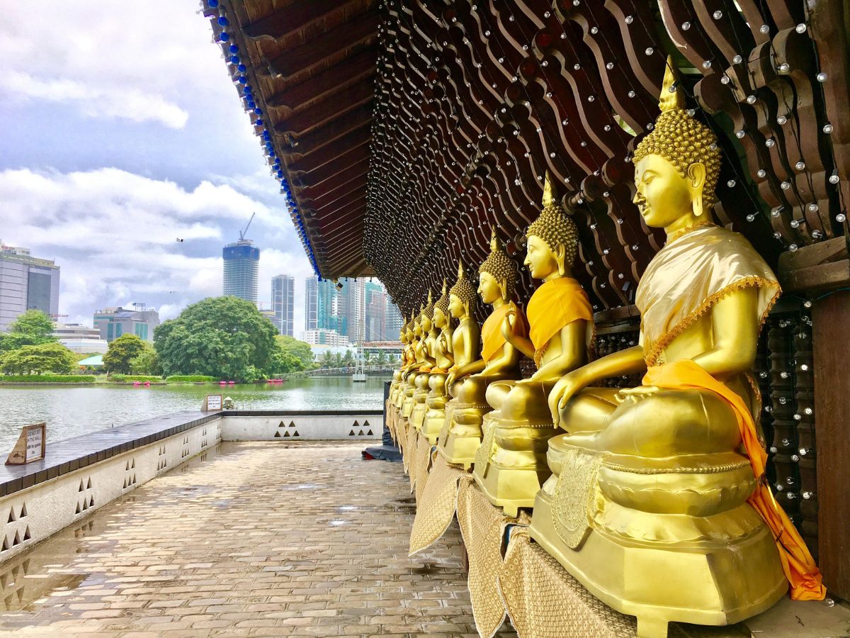 Tropical Christmas in Colombo: Festive Vibes by the Beach