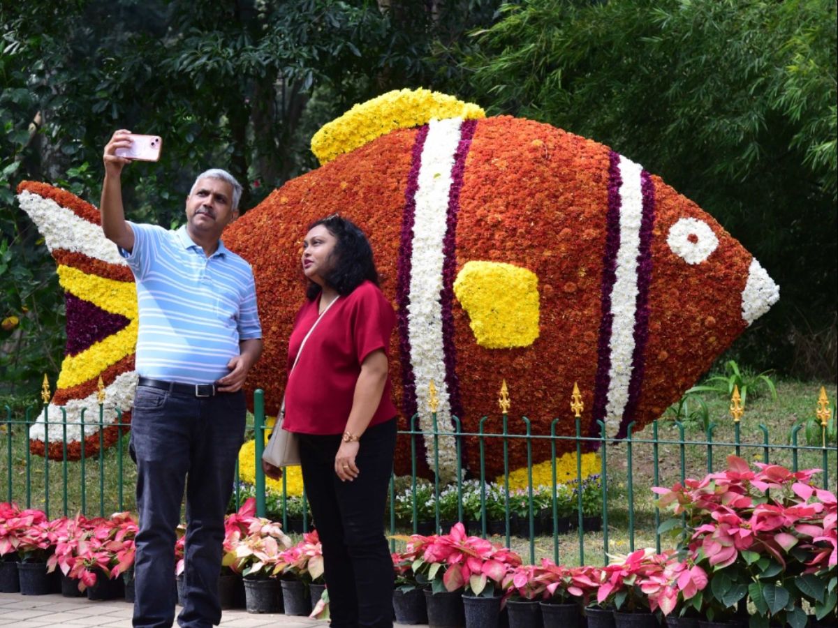 Cultural Programs and Stalls