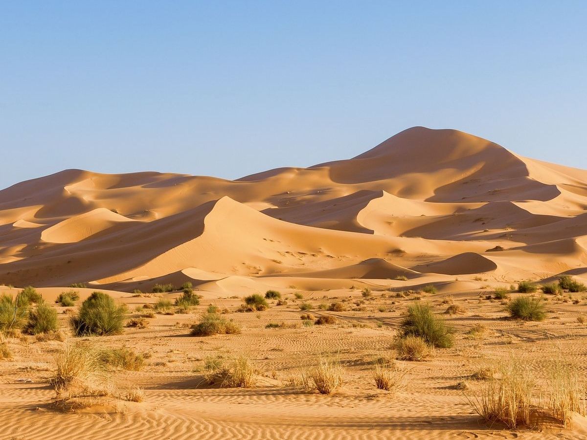 Sahara Desert, North Africa