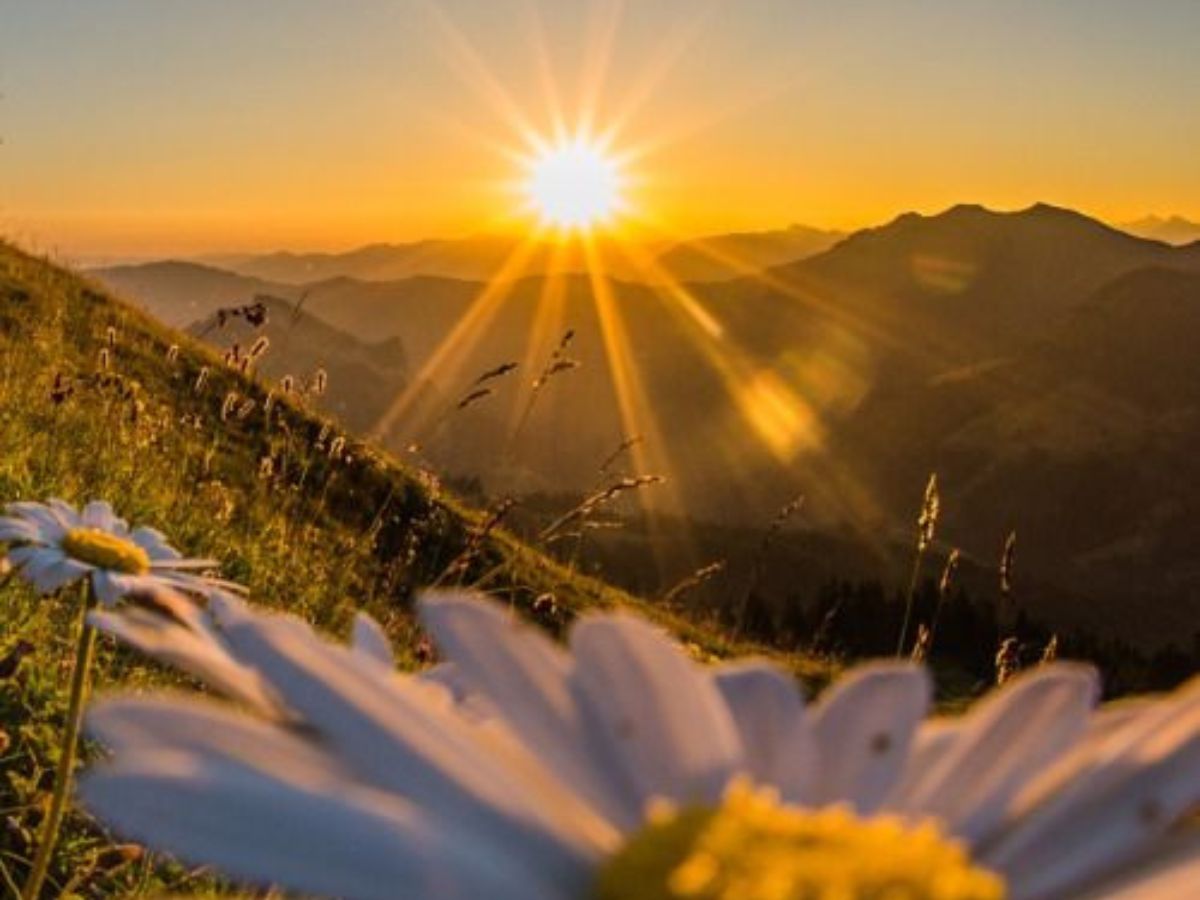 Get Regular Sunlight and Stay Active