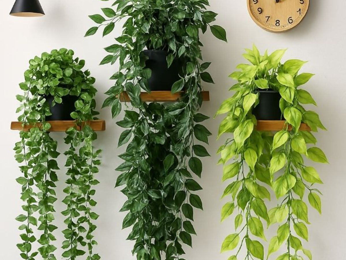 Avoid Fertilizer in Peak Winter