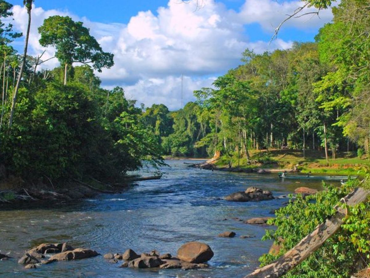 Which Country Is Known as the Land of Forests