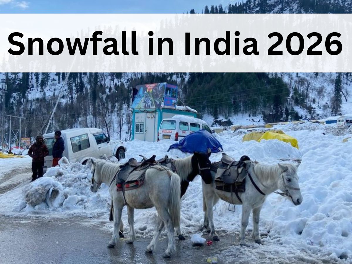 Manali, Himachal Pradesh