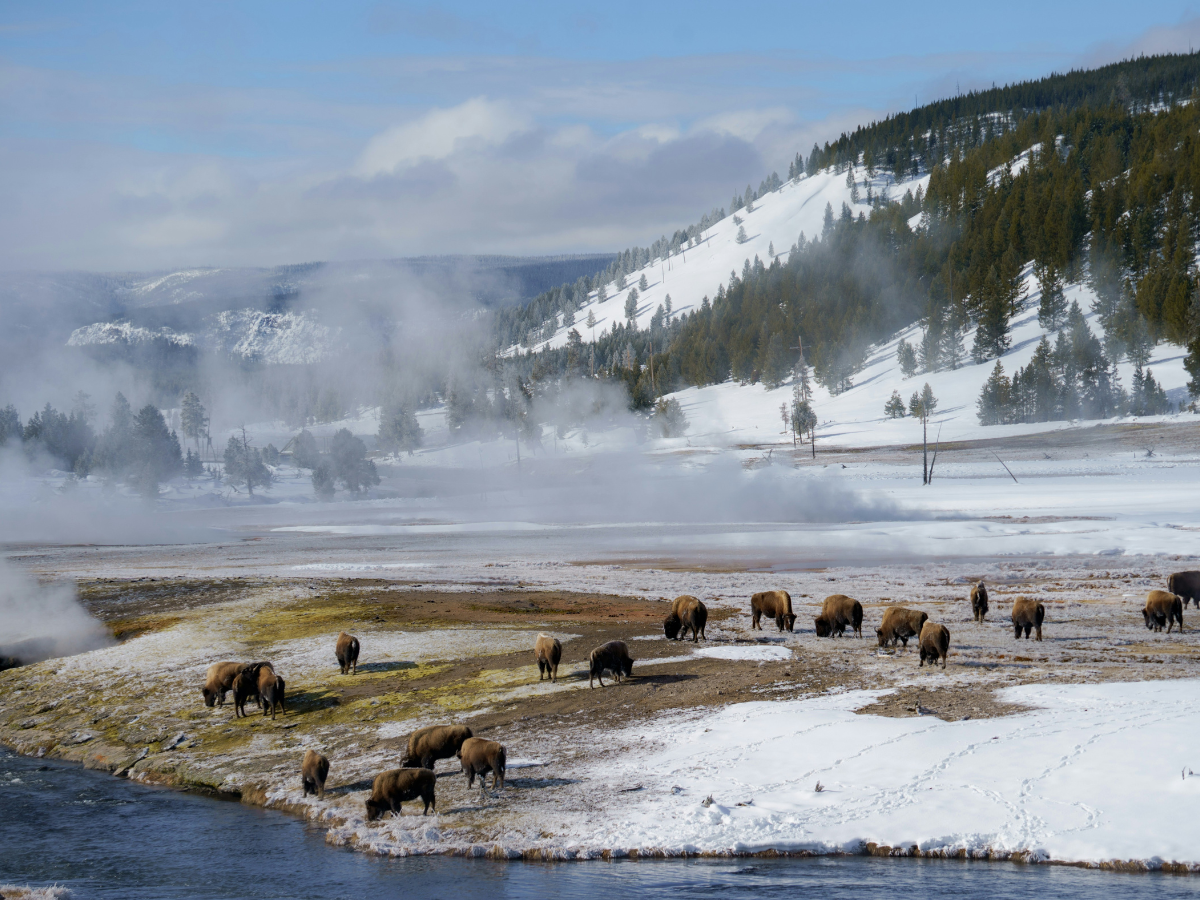 Adventure Awaits: Long Weekend Getaways