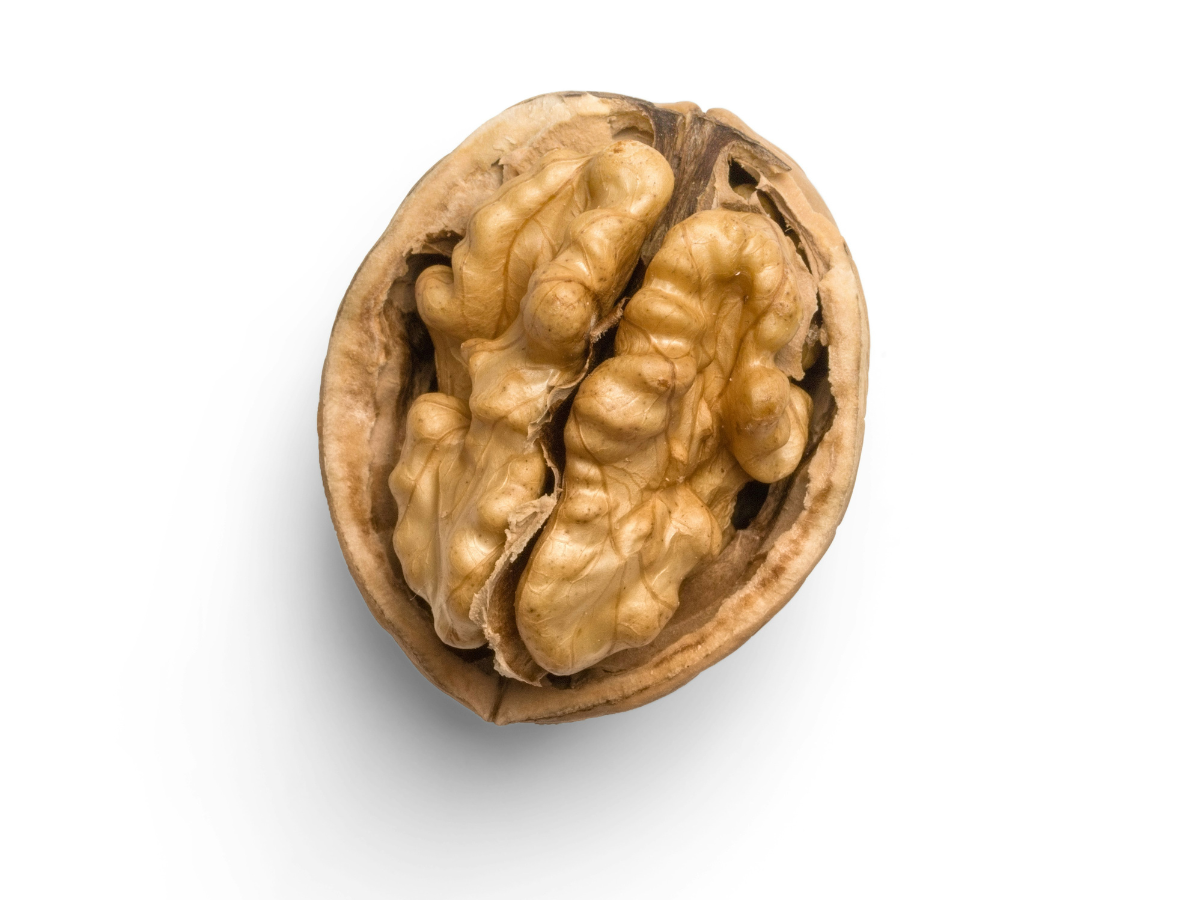 Eat Nuts for a Healthier Brain