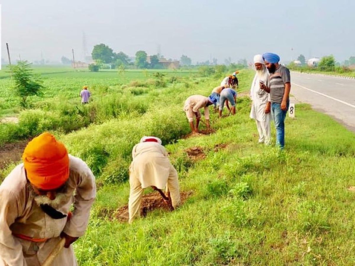 Impact of the Green Revolution in Punjab