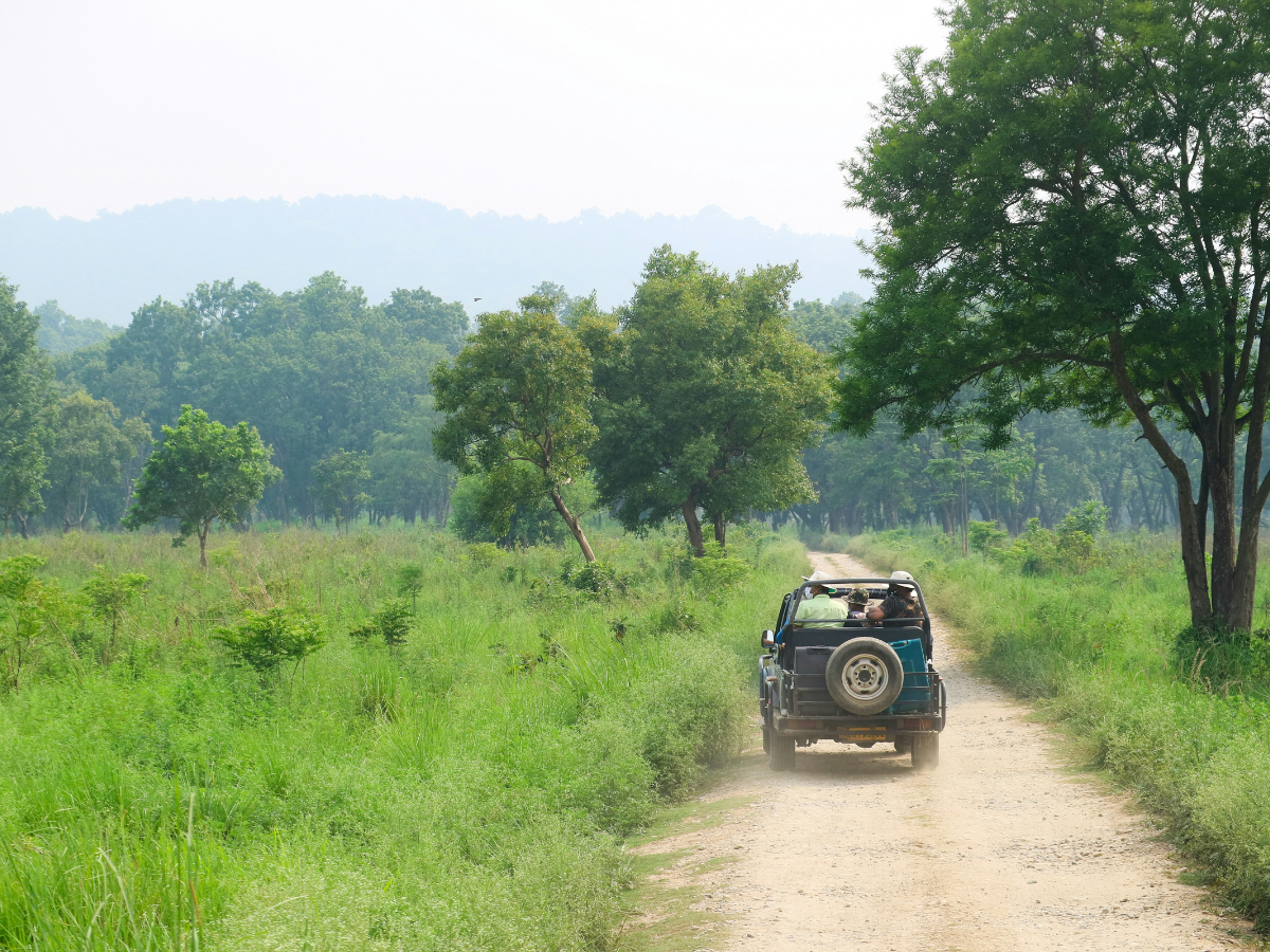 Jim Corbett National Park, Uttarakhand