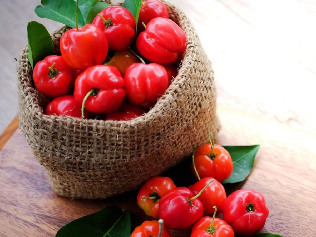 Acerola Cherries