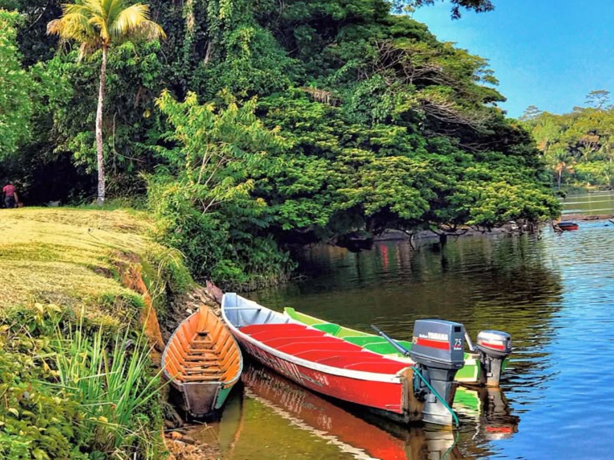 Why the Country Is Called the Land of Forests