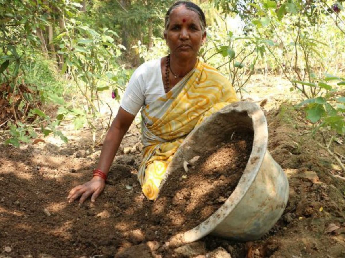 Fertile Soil and Strong Irrigation Network