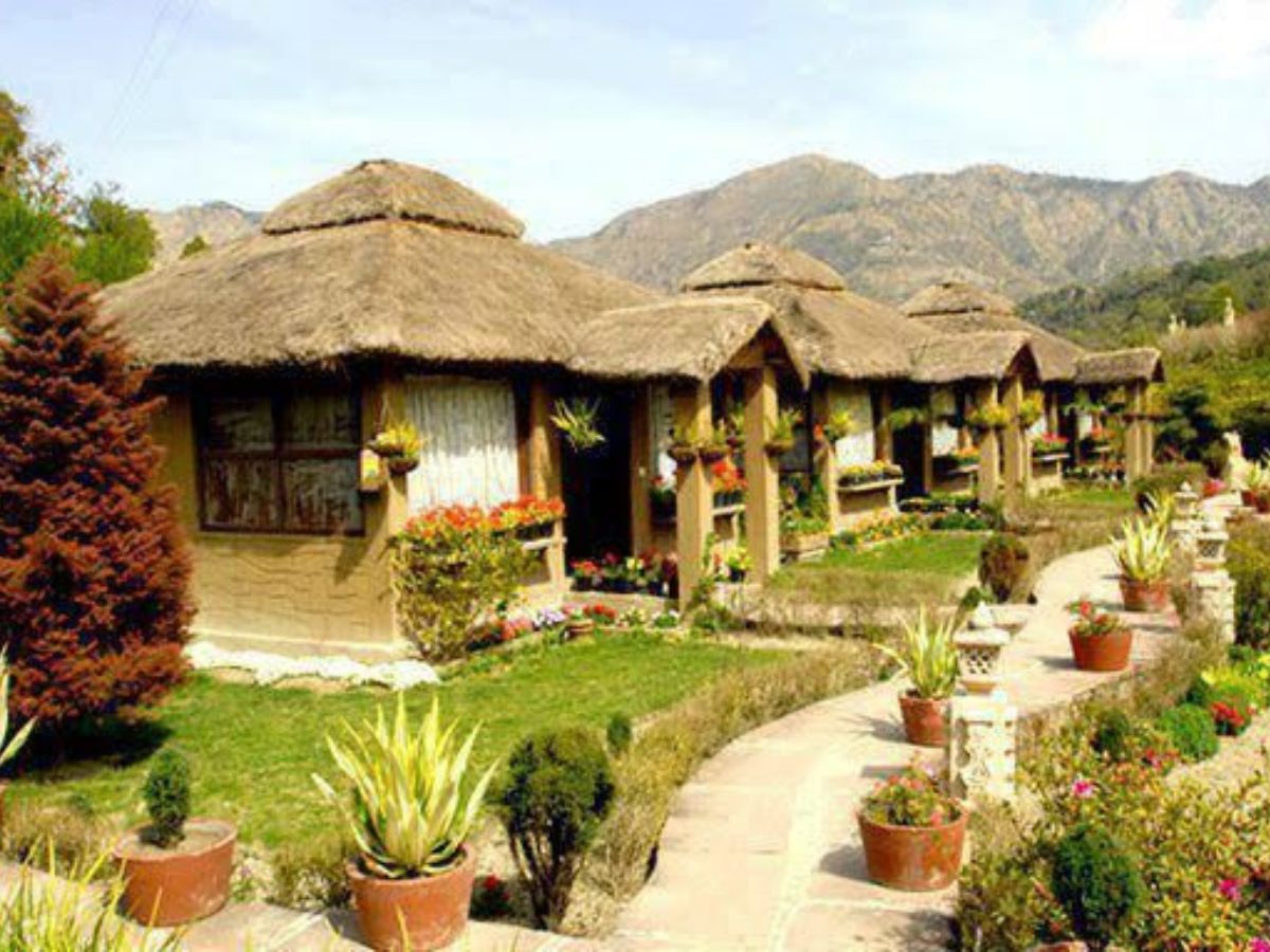 A Great Place for Bird Watching