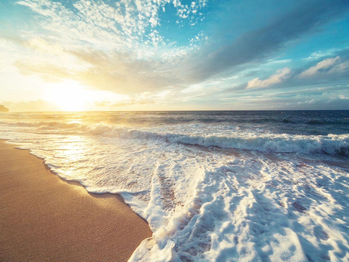 Average Temperature Range