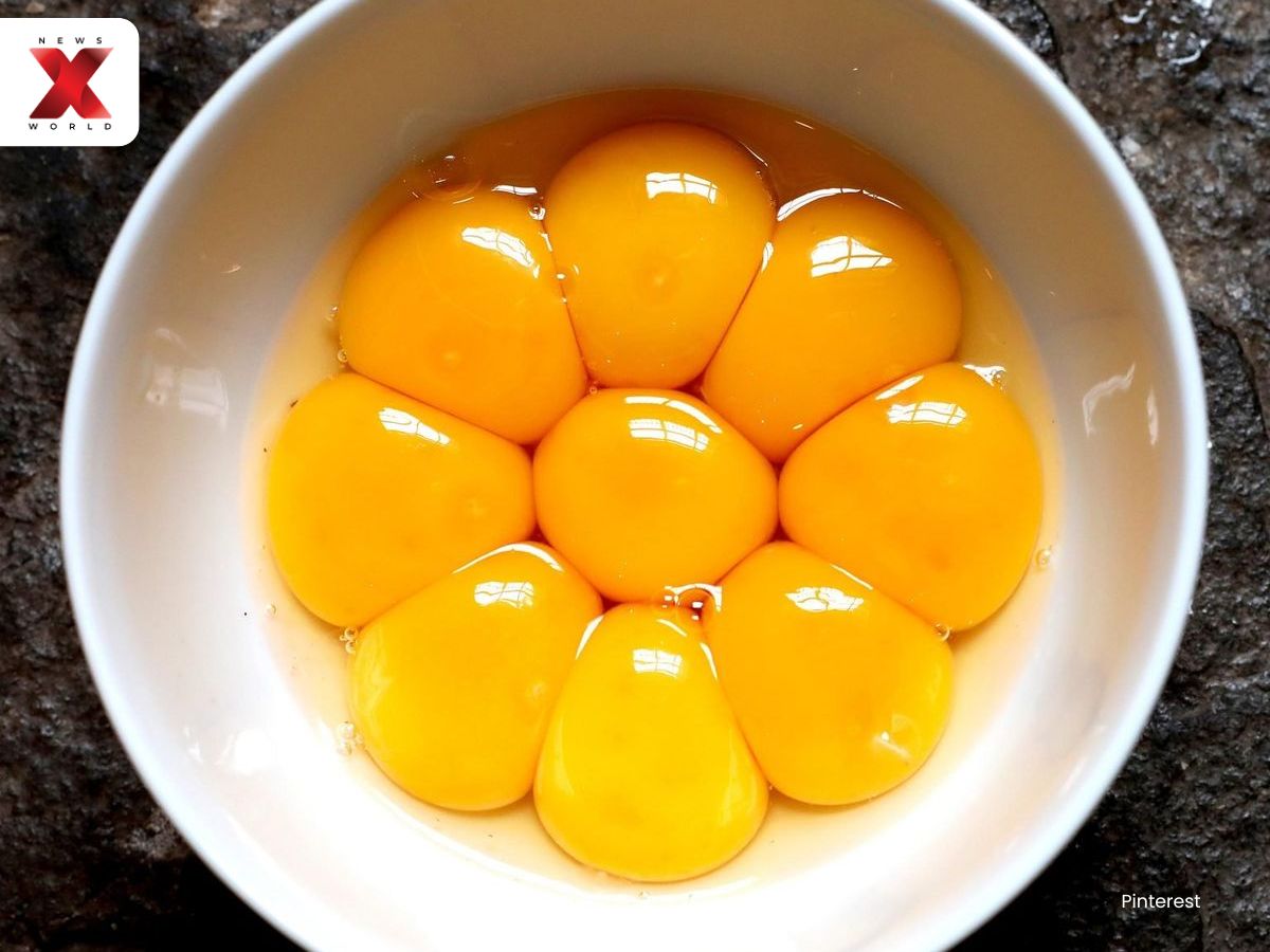 Eggs Yolks