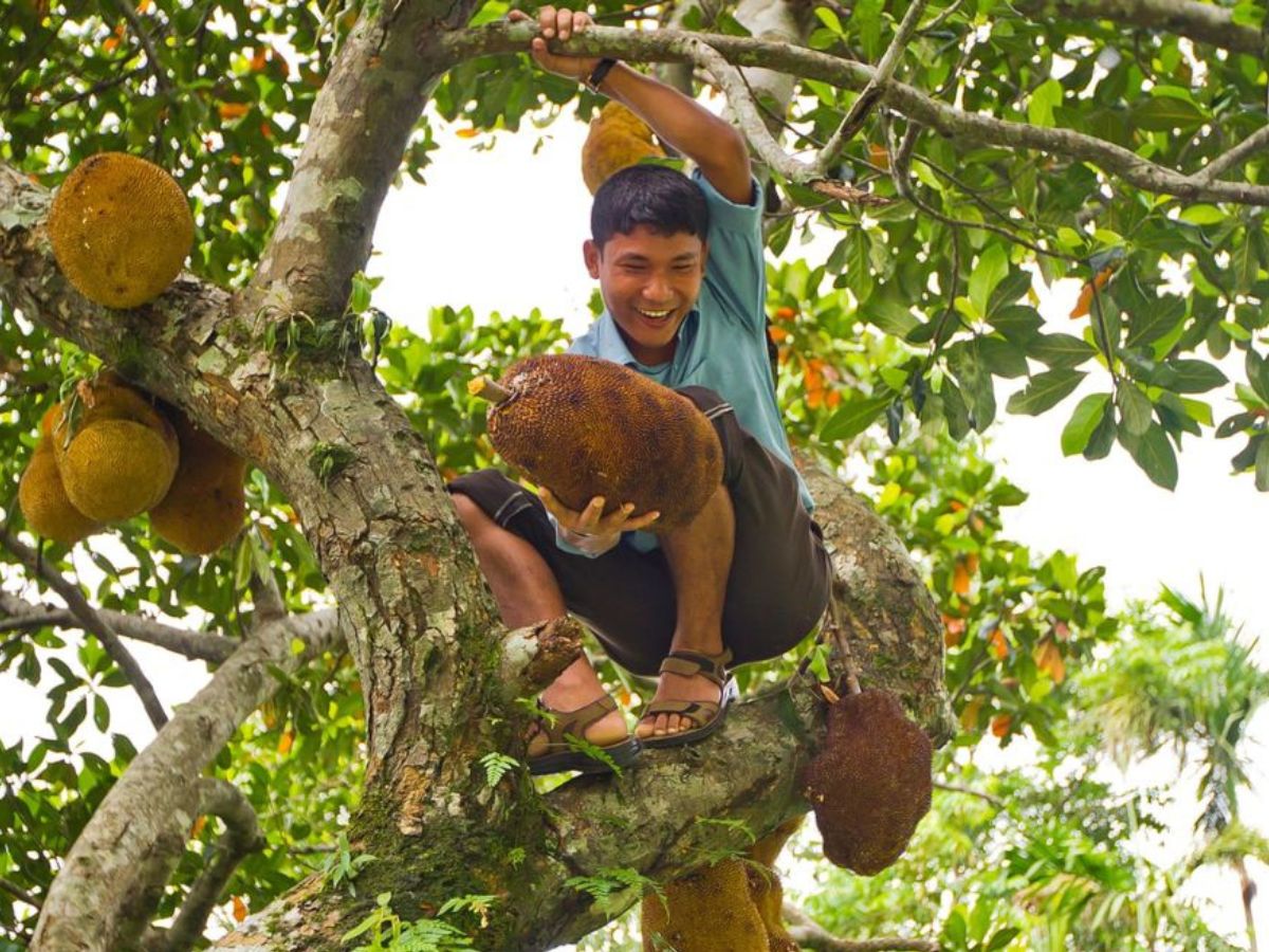 Rich in Powerful Antioxidants