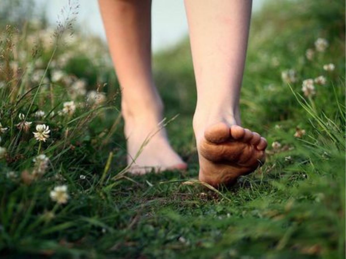 Muscle and metabolism