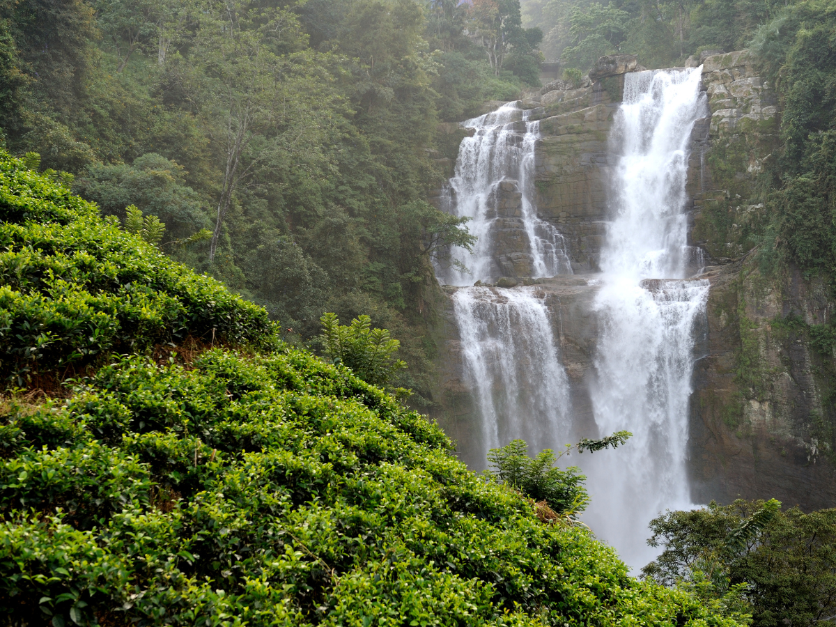 Chikmagalur, Karnataka